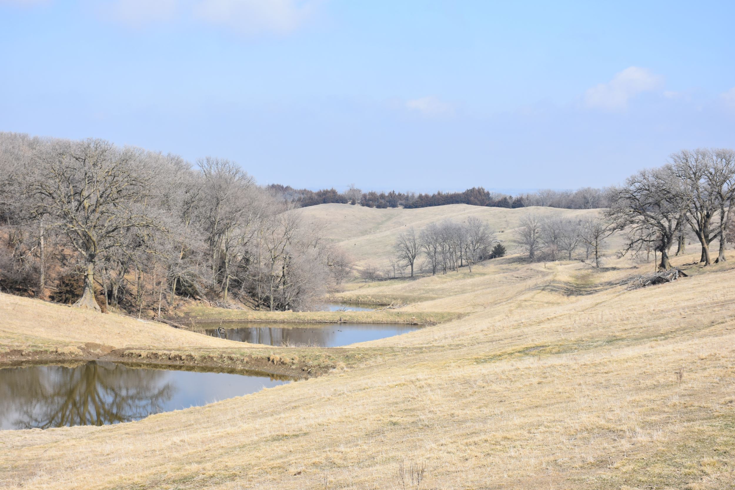 Blog For Tag "loess Hills National Scenic Byway" - Iowa Natural ...